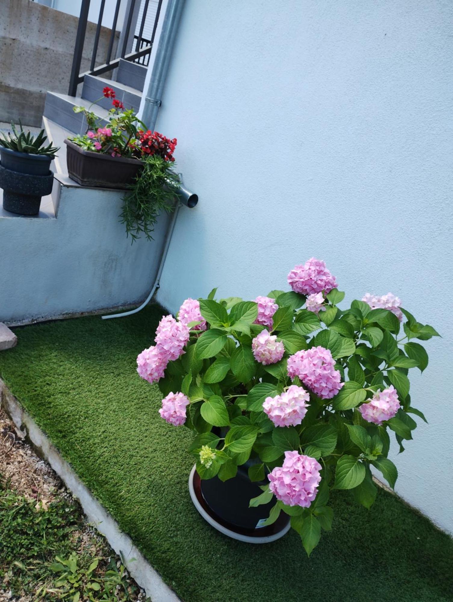 Apartman Enia Murvica  객실 사진
